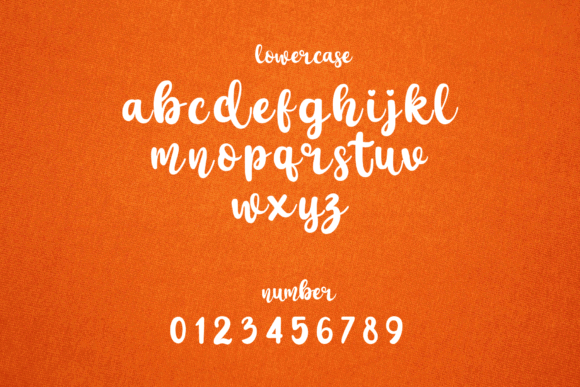 Script Fonts for Logo Design: 36 Elegant Picks That Feel Premium 25 Bestary Fonts 34855723 9 580x387 1