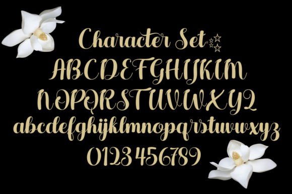16 Best Aesthetic Fonts for Canva Designs 25 Bintang Fonts 82342127 5 580x386 1