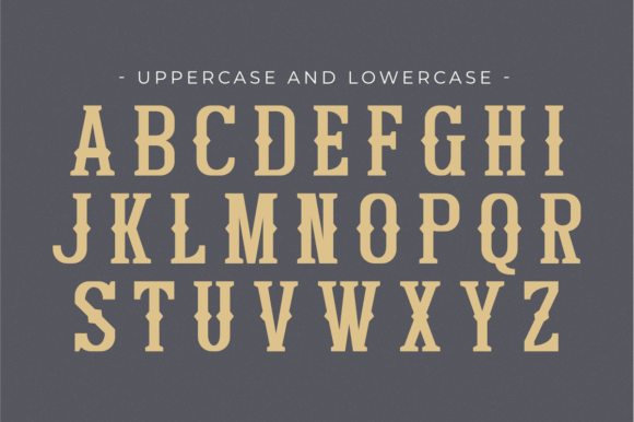 15 Best Western Slab Serif Fonts for Logos and Branding 33 Bitchcraft Fonts 129581147 2 580x386 1