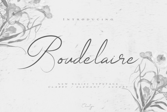 33 Best Feminine Script Fonts for Elegant Branding & Wedding Design 38 Boudelaire by Chocotype 580x387 1