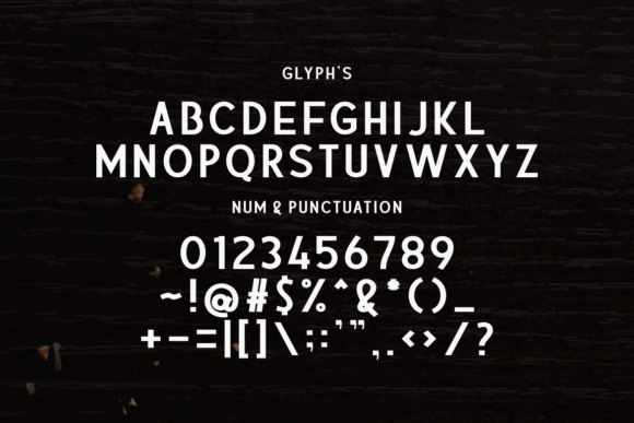 15 Best Monospace Fonts for Coding, Branding and Web Design 7 Stylized display of uppercase letters, numbers, and punctuation in a modern monospace font.