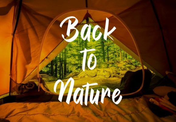 Lettering Fonts for Small Business Branding: 12 Beautiful Picks 9 Branding Fonts 43201270 2 580x403 1