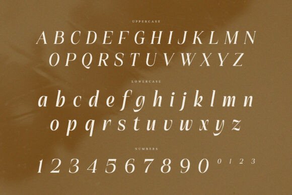 16 Best Aesthetic Fonts for Canva Designs 3 Brelist Fonts 151703149 9 580x387 1
