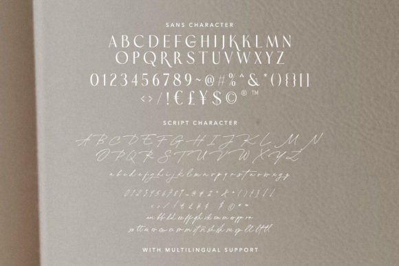 Premium Fonts: 20 Powerful Choices Designers Will Love 3 Bright Darling Duo Fonts 89271050 9 580x387 1