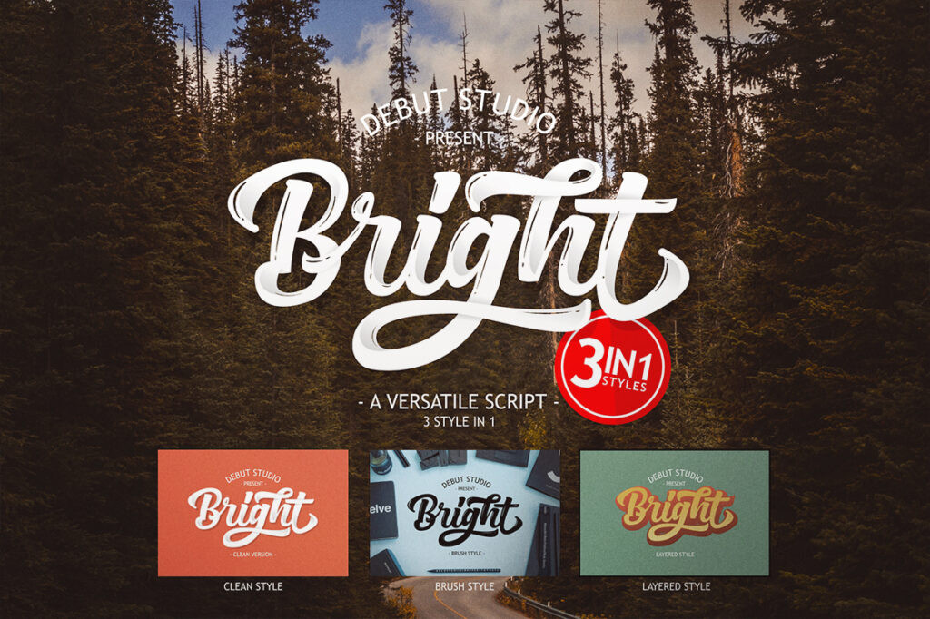 Script Fonts for Logo Design: 36 Elegant Picks That Feel Premium 86 Bright Script by Debut Studio