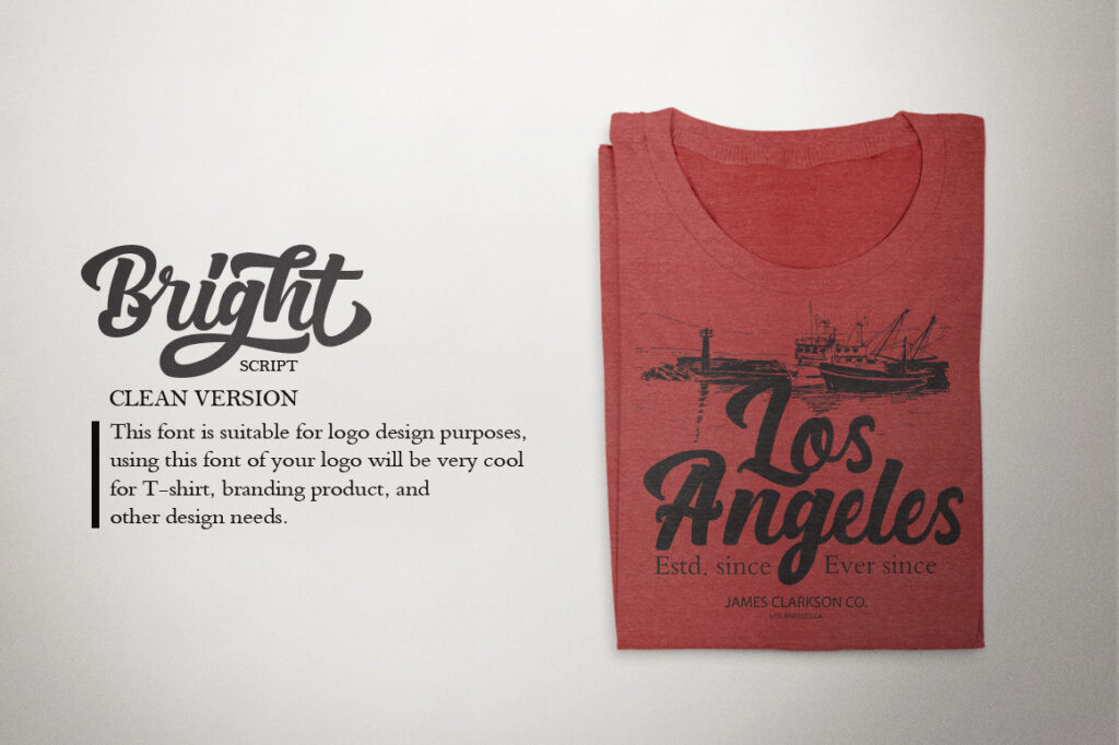 Script Fonts for Logo Design: 36 Elegant Picks That Feel Premium 87 Bright Script by Debut Studio 11