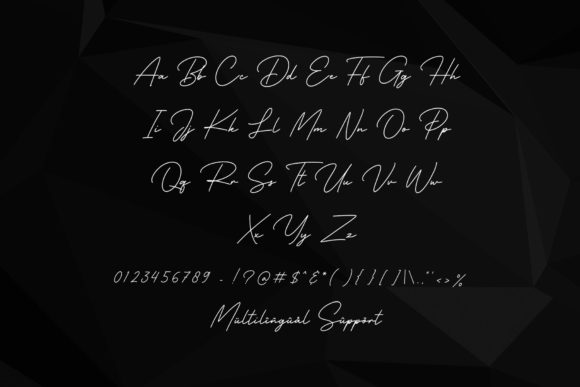 Premium Fonts: 20 Powerful Choices Designers Will Love 33 Business Signature Fonts 11371829 5 580x387 1