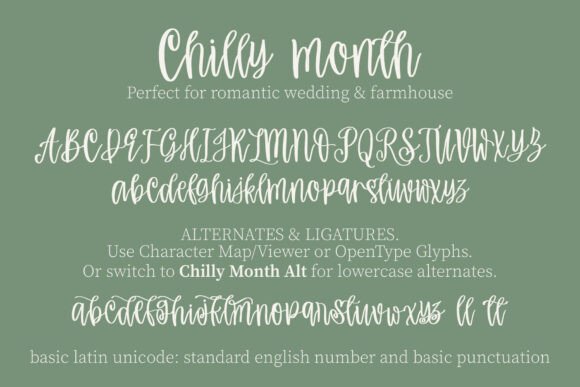 Handwritten Fonts for Vinyl Sticker Labels: 26 Best Cricut Picks 51 Chilly Month Fonts 136908411 14 580x387 1