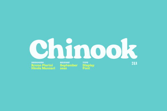 Best Serif Fonts for Logos: 10 Branding-Friendly Picks 10 Chinook font sample showcasing bold, playful typography on a turquoise background.