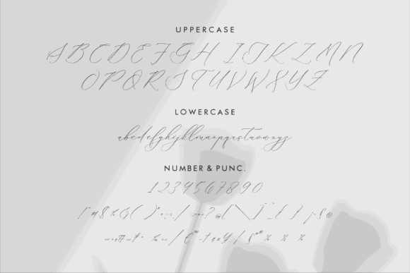 Modern Script Fonts: 18 Gorgeous Picks for Branding 43 Delistian Valentine Fonts 75079737 13 580x387 1