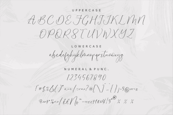 Script Fonts for Logo Design: 36 Elegant Picks That Feel Premium 64 Disttoris Andarlin Fonts 58379028 13 580x387 1