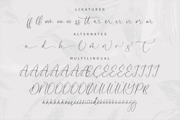 Script Fonts for Logo Design: 36 Elegant Picks That Feel Premium 65 Disttoris Andarlin Fonts 58379028 14 580x387 1