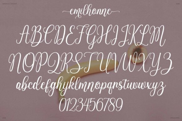Modern Script Fonts: 18 Gorgeous Picks for Branding 19 Emilhonne Fonts 150779939 4 580x387 1