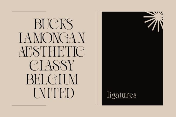 Premium Fonts: 20 Powerful Choices Designers Will Love 63 Fashion Wacks Fonts 29376783 8 580x387 1