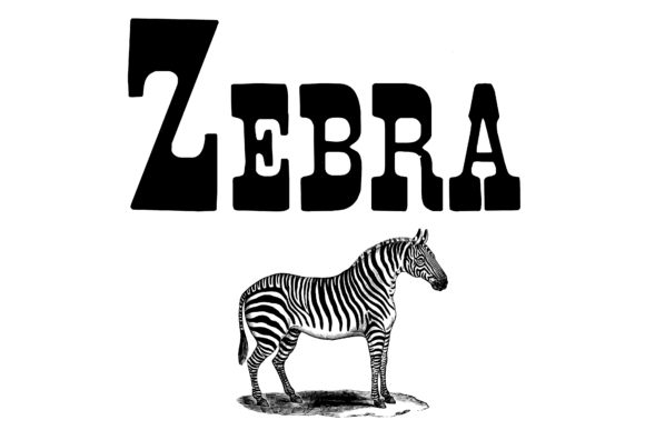 Fonts Similar to Clarendon: 15 Powerful Alternatives 7 Bold lettering spelling 'ZEBRA' with an illustration of a zebra underneath.