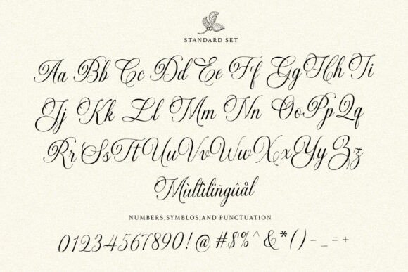 16 Soft Aesthetic Fonts: Beautiful Picks for Feminine Designs 5 Elegant script font showcasing uppercase and lowercase letters with decorative elements.