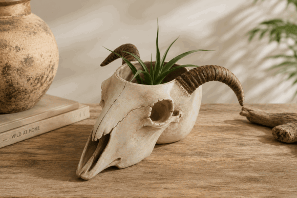 11 Most Profitable 3D Printing Models That Actually Sell 29 Goat Skull Succulent Planter 3D Printing 150155704 1 1 580x387 1
