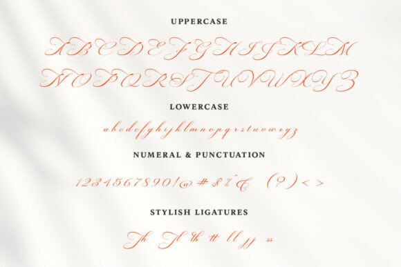 Modern Script Fonts: 18 Gorgeous Picks for Branding 23 Gristha Fonts 142911472 8 580x387 1