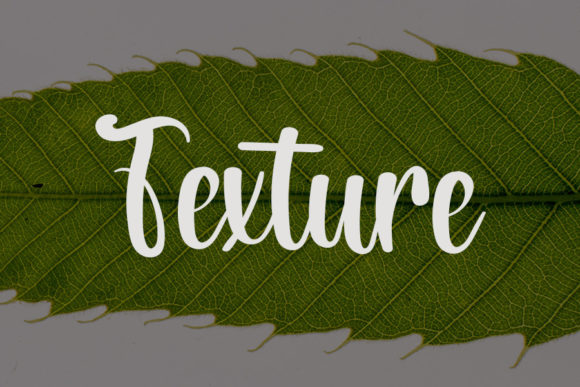 Lettering Fonts for Small Business Branding: 12 Beautiful Picks 40 Hand Lettering Fonts 27982001 4 580x387 1