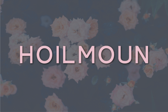 25 Best Sans Serif Fonts for Branding: Modern Logo Fonts That Stand Out 25 Hoilmoun Fonts 16640540 1 1 580x387 1