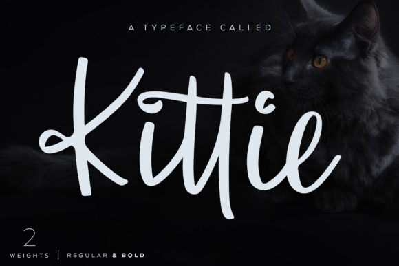Handwritten Fonts for Vinyl Sticker Labels: 26 Best Cricut Picks 12 Kittie by Ayca Atalay 580x387 1