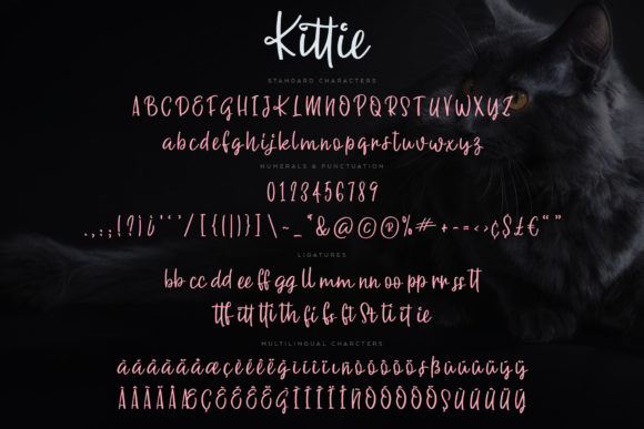 Handwritten Fonts for Vinyl Sticker Labels: 26 Best Cricut Picks 13 Kittie by Ayca Atalay 6 580x387 1