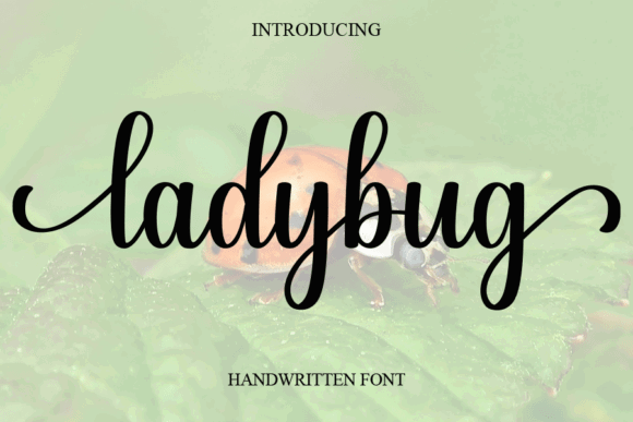 16 Handwritten Fonts for Commercial Use That Look Professional 13 Handwritten font 'Ladybug' displayed over a blurred background of a ladybug on a leaf.