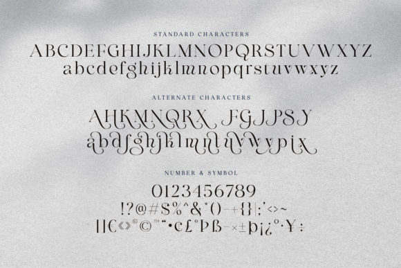 Premium Fonts: 20 Powerful Choices Designers Will Love 6 Maglite Fonts 26958900 11 580x387 1