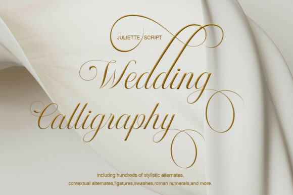 Modern Script Fonts: 18 Gorgeous Picks for Branding 26 Monadila Fonts 149661434 2 580x386 1