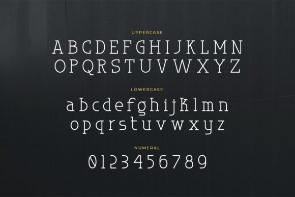15 Best Monospace Fonts for Coding, Branding and Web Design 27 Sample of uppercase and lowercase letters in a modern monospace font.