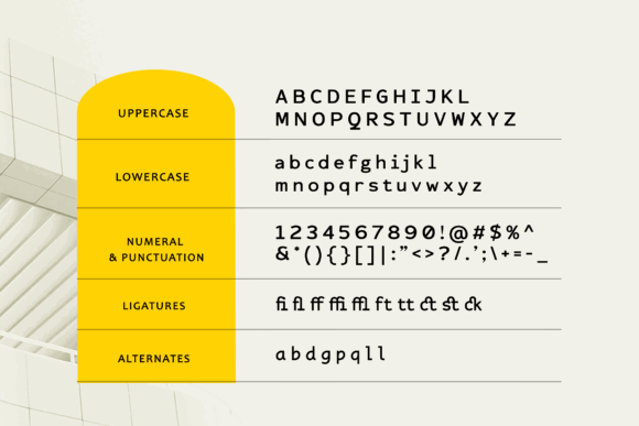 15 Best Monospace Fonts for Coding, Branding and Web Design 18 Sample of uppercase, lowercase, numbers, and punctuation in a monospace font.
