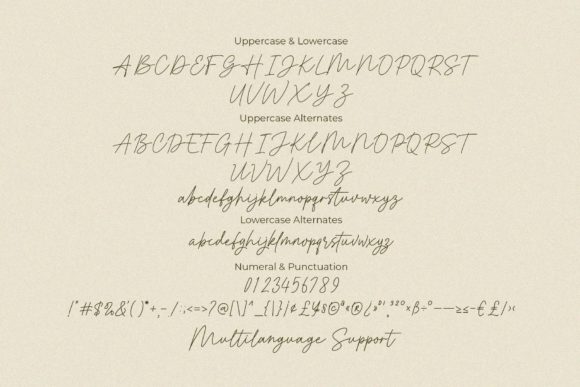 Elegant Script Fonts for Branding: 18 Stunning Picks Designers Love 22 Moretime Fonts 23415153 11 580x387 1