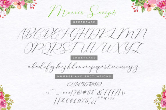Calligraphy Fonts: 10 Stunning Picks for Elegant Designs 27 Morris Duo by Cooldesignlab 9 580x386 1