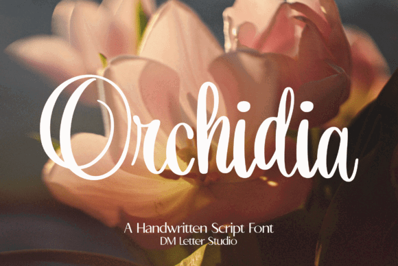 33 Best Feminine Script Fonts for Elegant Branding & Wedding Design 52 Orchidia Fonts 144026235 1 1 580x387 1