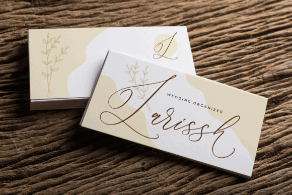 Modern Script Fonts: 18 Gorgeous Picks for Branding 41 Parmidass Elarista Fonts 80831615 6 580x387 1