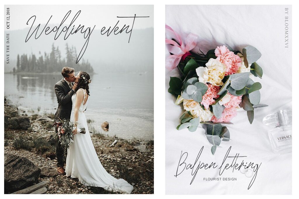 33 Best Feminine Script Fonts for Elegant Branding & Wedding Design 43 Phelovetica by bloomxxvi 1