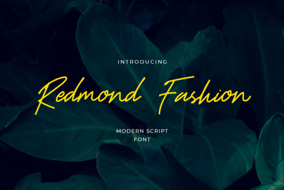 Brush Script Fonts for Logos: 13 Bold Picks That Feel Handmade 8 Redmond Fashion Fonts 8151207 1 1 580x387 1