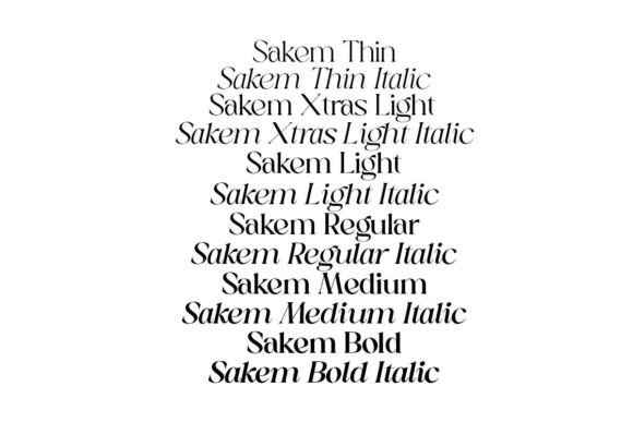 Vintage Display Fonts for Branding: 13 Stunning Retro Picks 32 Sakem Elegance Fonts 142064818 7 580x387 2