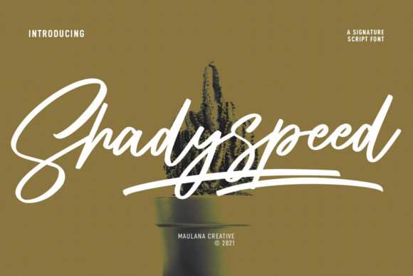 Script Fonts for Logo Design: 36 Elegant Picks That Feel Premium 77 Shadyspeed Script Font Fonts 18642574 1 1 580x387 1
