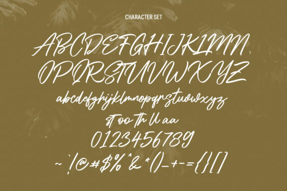 Script Fonts for Logo Design: 36 Elegant Picks That Feel Premium 78 Shadyspeed Script Font Fonts 18642574 8 580x387 1