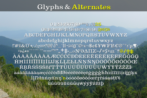 Fonts Similar to Clarendon: 15 Powerful Alternatives 3 Sample of glyphs and alternates from a slab serif font.