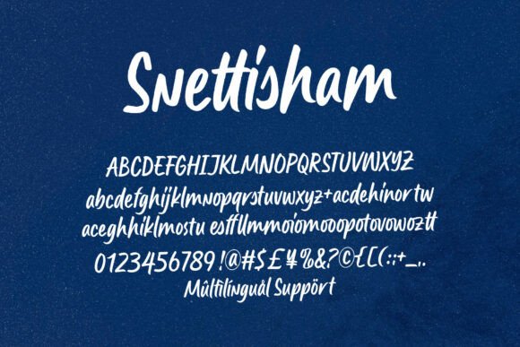 Elegant Script Fonts for Branding: 18 Stunning Picks Designers Love 42 Snettisham Fonts 149968699 9 580x387 1