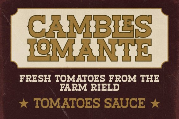 15 Best Western Slab Serif Fonts for Logos and Branding 40 Tango Western Fonts 81167990 4 580x387 1