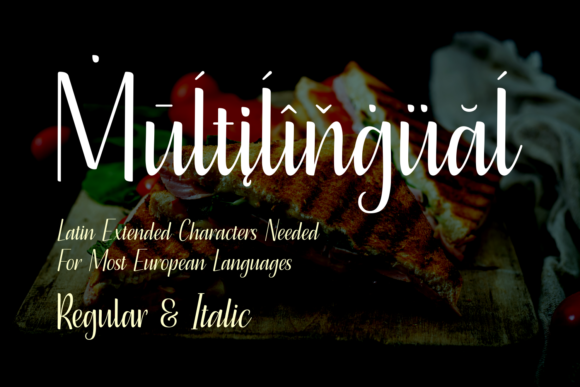 16 Handwritten Fonts for Commercial Use That Look Professional 24 Handwritten font sample showcasing the word 'Multilingual' with a sandwich background.