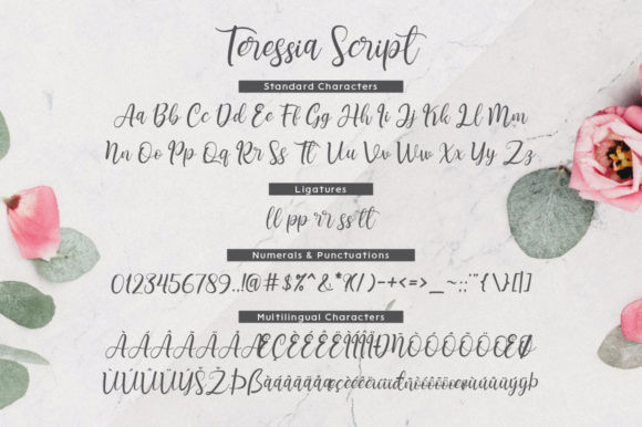 Calligraphy Fonts: 10 Stunning Picks for Elegant Designs 15 Teressia Script by StudioAKTYPE 6 580x386 1