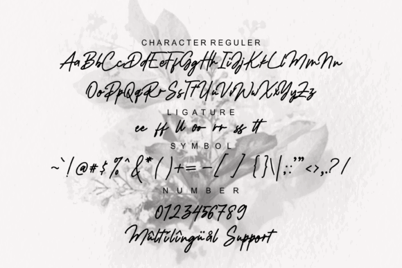 Handwritten Fonts for Vinyl Sticker Labels: 26 Best Cricut Picks 15 The Ahmedians Fonts 71416652 8 580x387 1