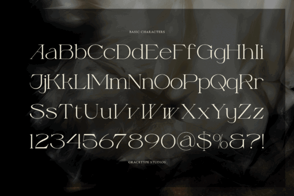 Vintage Display Fonts for Branding: 13 Stunning Retro Picks 13 The Fauden Fonts 150516309 10 580x387 1