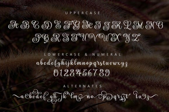 Modern Script Fonts: 18 Gorgeous Picks for Branding 17 The Mountaine Fonts 120449686 3 580x386 1