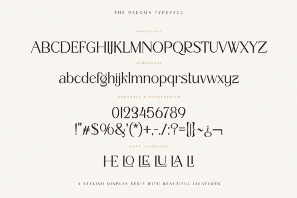 Stylish Display Fonts: 25 Bold Picks Designers Will Love 44 The Paloma Fonts 146730600 10 580x387 1