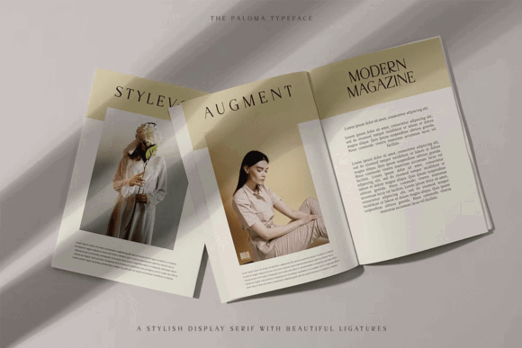 Stylish Display Fonts: 25 Bold Picks Designers Will Love 45 The Paloma Fonts 146730600 4 580x387 1